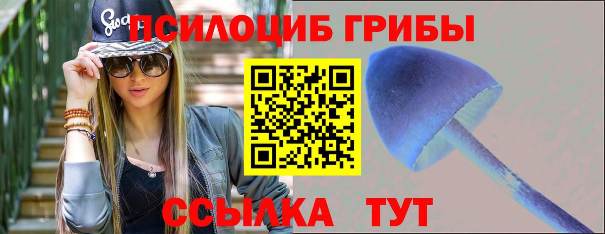 Псилоцибиновые грибы Cubensis  Вход с VPN  Псилоцибиновые грибы GOLDEN TEACHER  Обь 